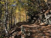 05 inizio del sentiero nel bosco